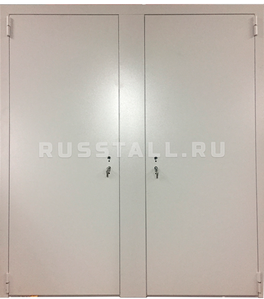 Железная дверь с шумоизоляцией RS123 - Изображение