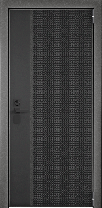 Входная металлическая дверь RS-253