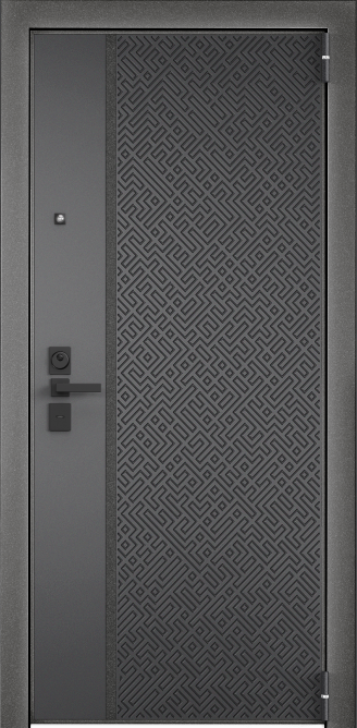 Входная металлическая дверь RS-255