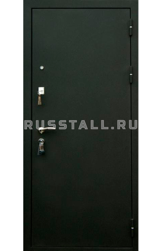 Металлическая дверь на дачу RS61 - Изображение