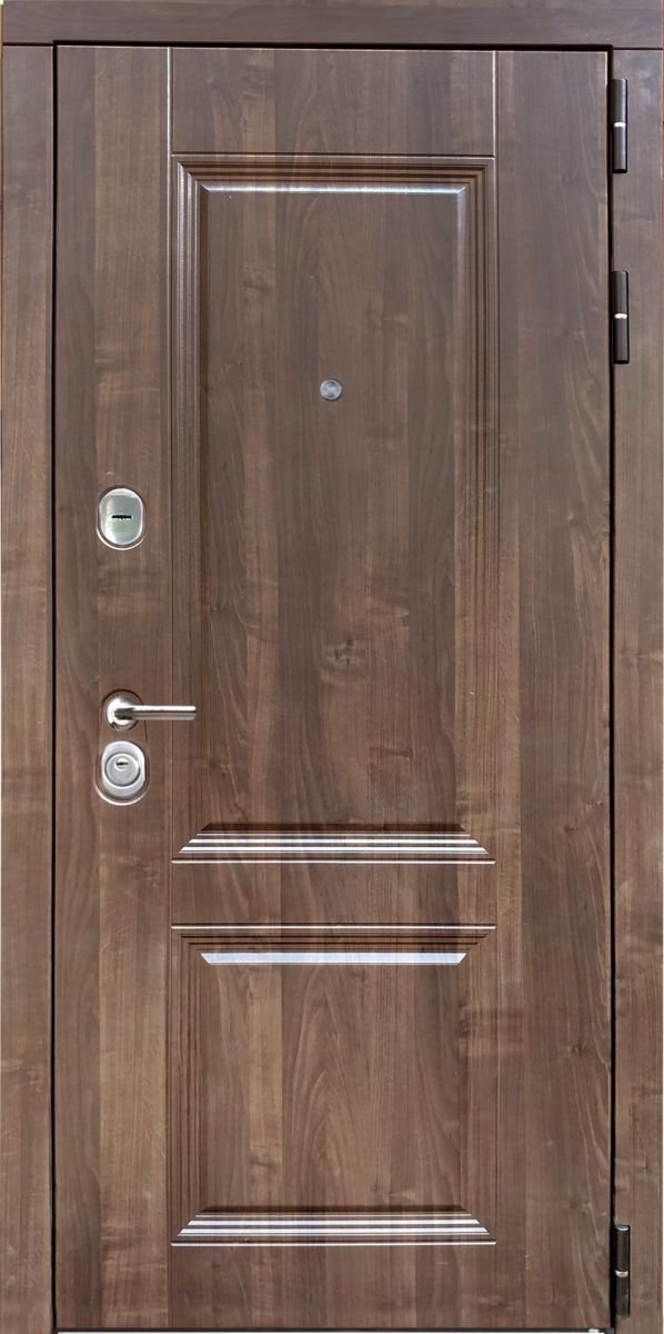 Входная металлическая дверь RS-259 - Изображение