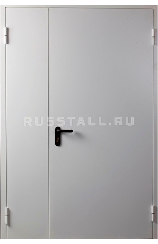 Металлическая техническая дверь RS129 - Изображение