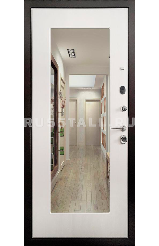 Металлическая дверь с зеркалом RS66