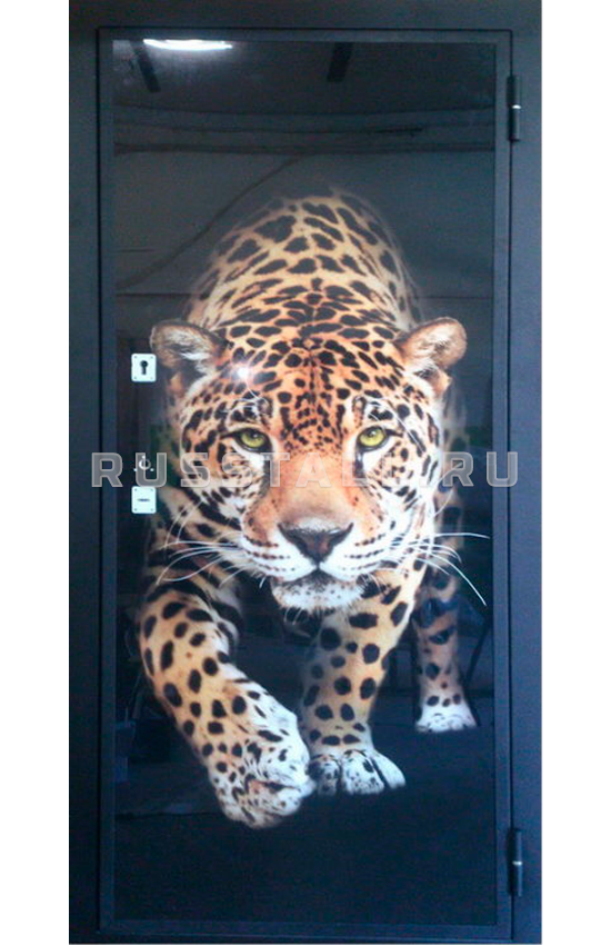 Стальная дверь премиум RS75