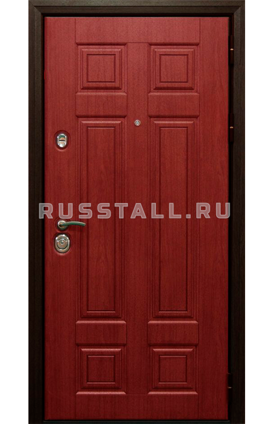 Металлическая дверь в коттедж RS11 - Изображение