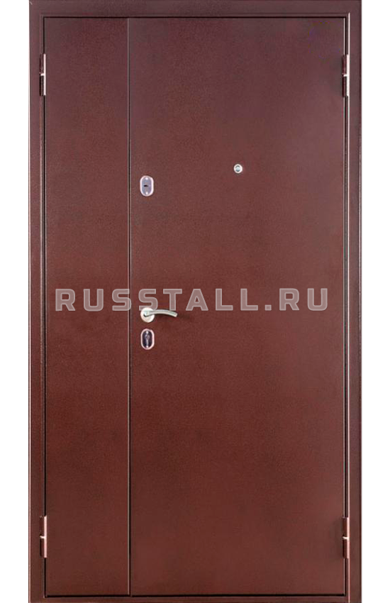 Металлическая уличная дверь RS23 - Изображение