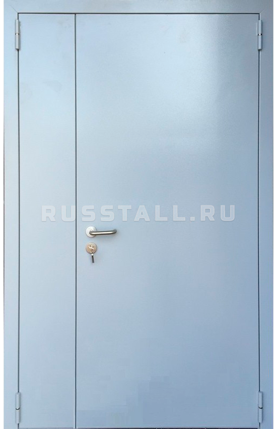 Двухстворчатая железная дверь RS125