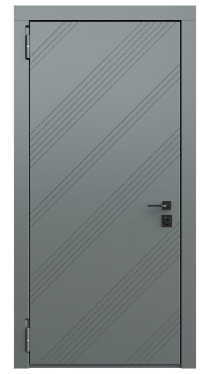 Дверь в квартиру RS1003