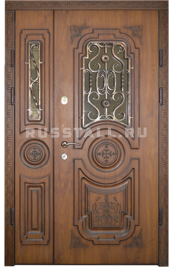 Железная дверь из массива RS89 - Изображение