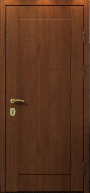 Железная офисная дверь RS-158 - Изображение