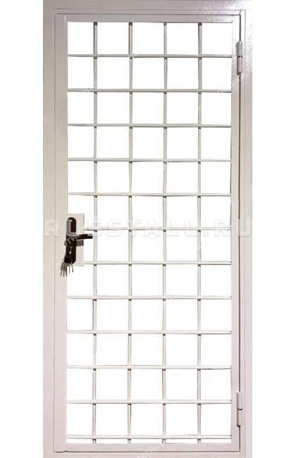 Стальная дверь с порошковым напылением RS133 - Изображение
