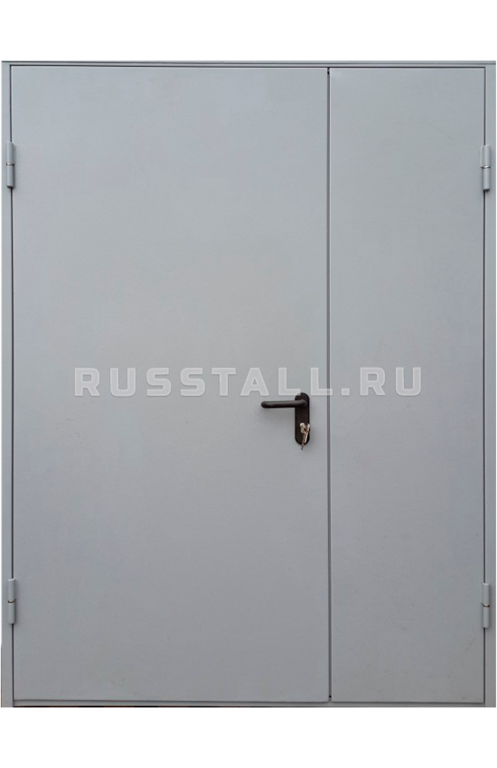 Двухстворчатая металлическая дверь RS126 - Изображение