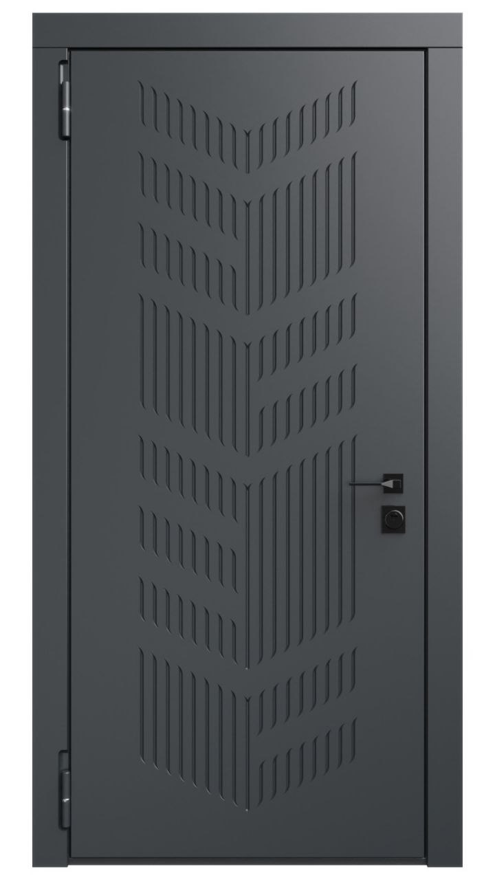 Дверь в квартиру RS99-8