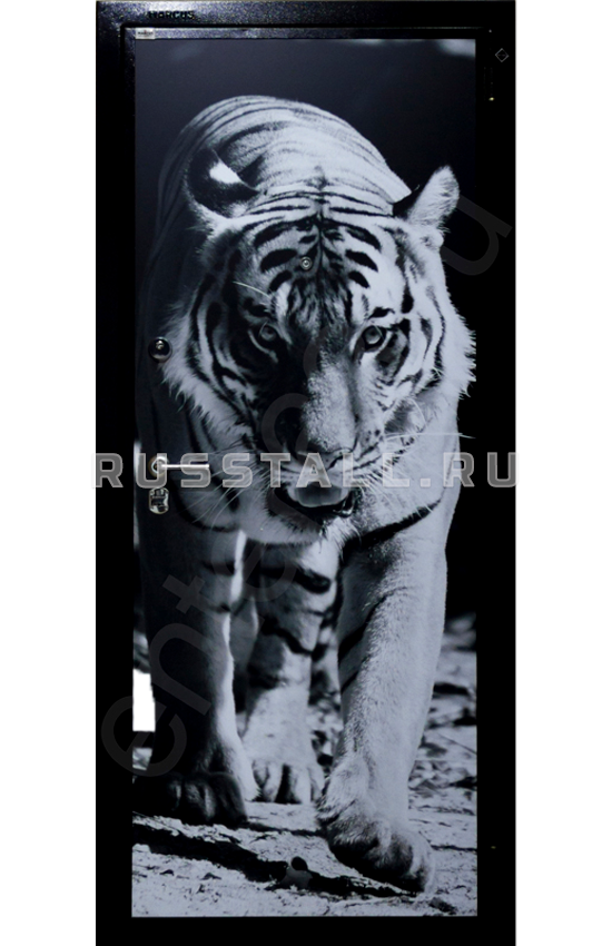 Входная дверь в квартиру RS76